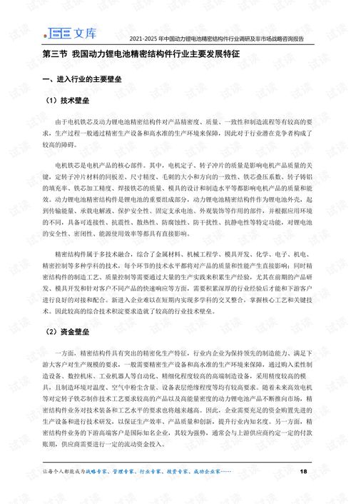 2021 2025年中国动力锂电池精密结构件行业调研及非市场战略战略咨询报告.pdf